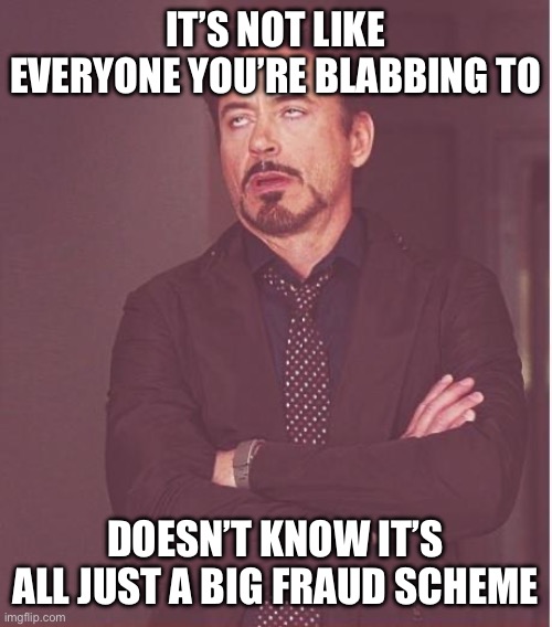 Face You Make Robert Downey Jr | IT’S NOT LIKE EVERYONE YOU’RE BLABBING TO; DOESN’T KNOW IT’S ALL JUST A BIG FRAUD SCHEME | image tagged in memes,face you make robert downey jr | made w/ Imgflip meme maker