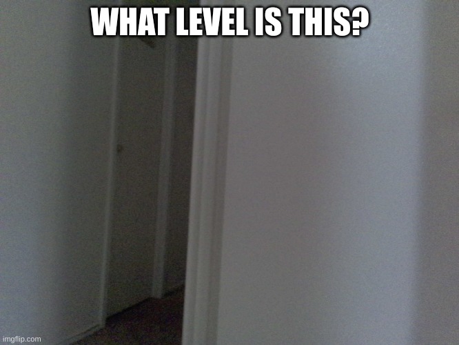 WHAT LEVEL IS THIS? | made w/ Imgflip meme maker