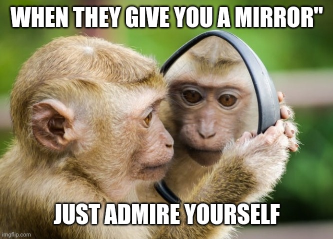 In the mirror | WHEN THEY GIVE YOU A MIRROR"; JUST ADMIRE YOURSELF | image tagged in memes | made w/ Imgflip meme maker