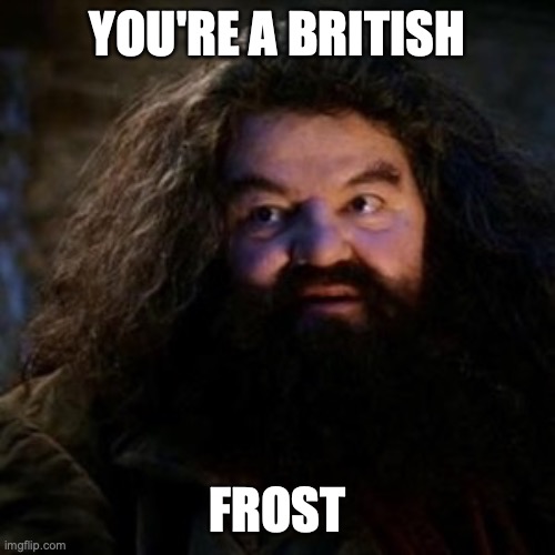 You're a wizard harry | YOU'RE A BRITISH FROST | image tagged in you're a wizard harry | made w/ Imgflip meme maker