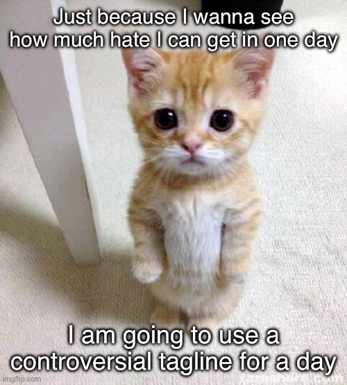 How fast will somebody take action? | Just because I wanna see how much hate I can get in one day; I am going to use a controversial tagline for a day | image tagged in memes,cute cat | made w/ Imgflip meme maker
