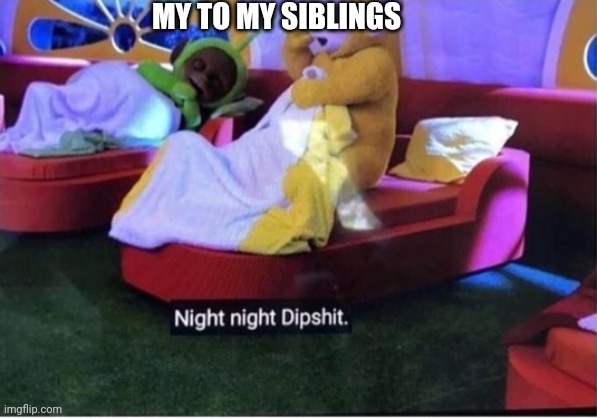 What the?!?! | MY TO MY SIBLINGS | image tagged in what the | made w/ Imgflip meme maker