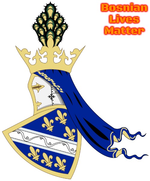 Bosnian Coat of Arms | Bosnian Lives Matter | image tagged in bosnian coat of arms,slavic,bosnia | made w/ Imgflip meme maker