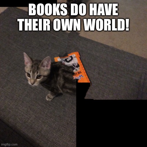 BOOKS DO HAVE THEIR OWN WORLD! | image tagged in books | made w/ Imgflip meme maker