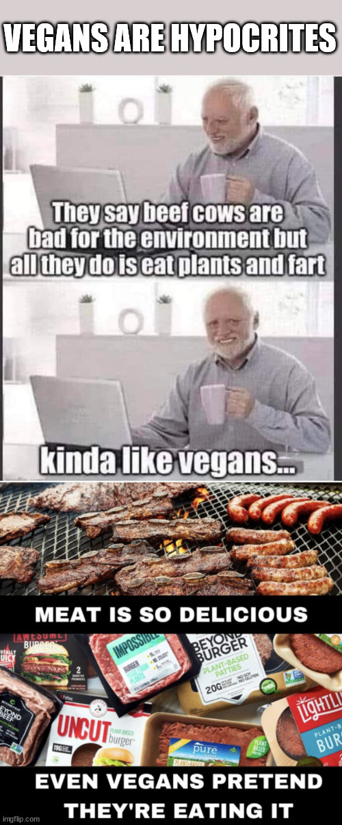 Vegan logic... | VEGANS ARE HYPOCRITES | image tagged in vegan logic | made w/ Imgflip meme maker