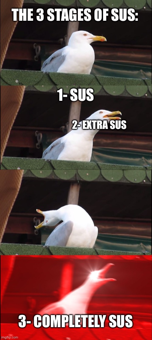 The 3 stages of sus | THE 3 STAGES OF SUS:; 1- SUS; 2- EXTRA SUS; 3- COMPLETELY SUS | image tagged in memes,inhaling seagull,sus | made w/ Imgflip meme maker