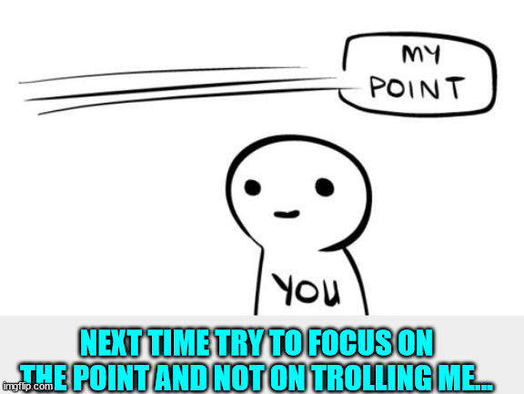 Missing the point | NEXT TIME TRY TO FOCUS ON THE POINT AND NOT ON TROLLING ME... | image tagged in missing the point | made w/ Imgflip meme maker