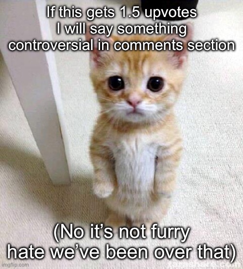 nya | If this gets 1.5 upvotes I will say something controversial in comments section; (No it’s not furry hate we’ve been over that) | image tagged in memes,cute cat | made w/ Imgflip meme maker