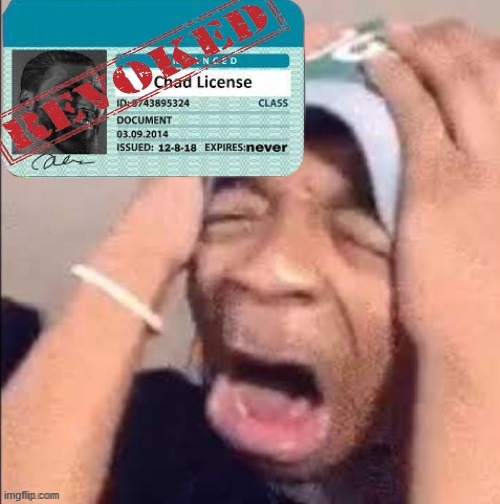 Chad License Revoked | image tagged in chad license revoked | made w/ Imgflip meme maker