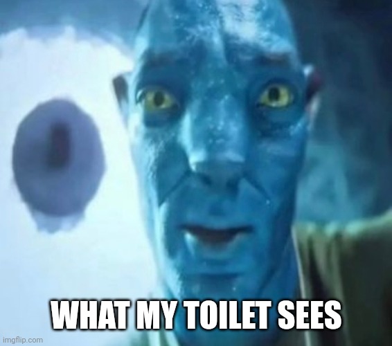 Jvuctsrarcyly | WHAT MY TOILET SEES | image tagged in avatar guy | made w/ Imgflip meme maker