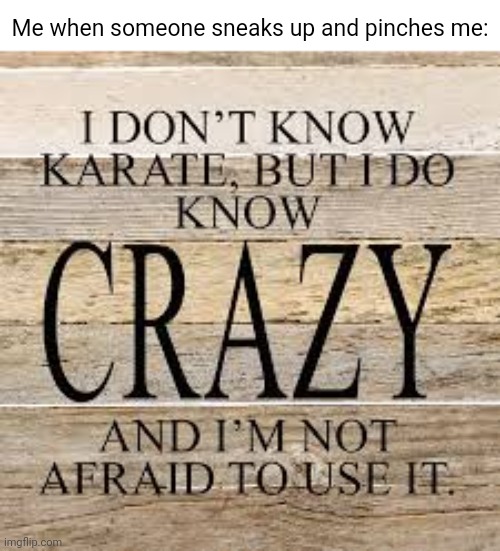 Pinched | Me when someone sneaks up and pinches me: | image tagged in i don't know karate but i do know crazy and i'm not afraid to,pinch,sneaks up,memes,meme,tifflamemez | made w/ Imgflip meme maker