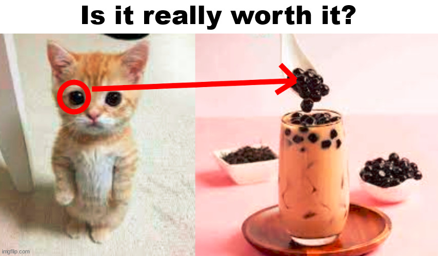 Is it really worth it? | Is it really worth it? | image tagged in cat,is it really worth it,boba tea,cute,meme,msmg | made w/ Imgflip meme maker