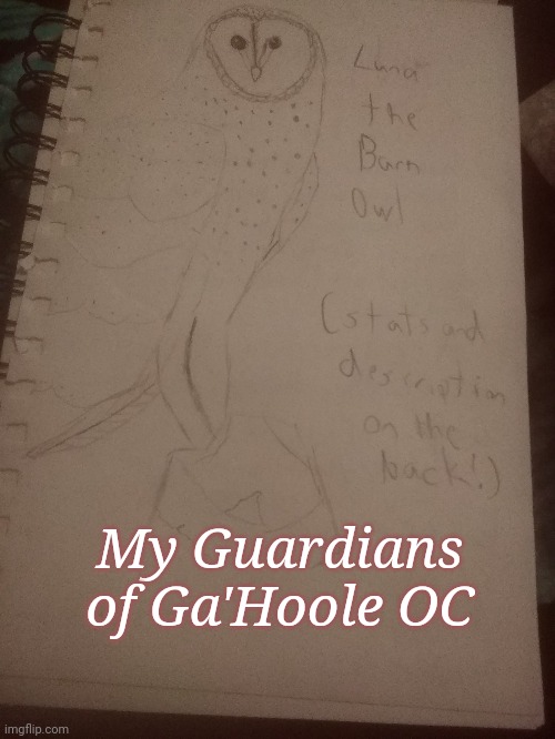 My Guardians of Ga'Hoole OC!!! | My Guardians of Ga'Hoole OC | image tagged in barn owl,guardians of ga'hoole | made w/ Imgflip meme maker