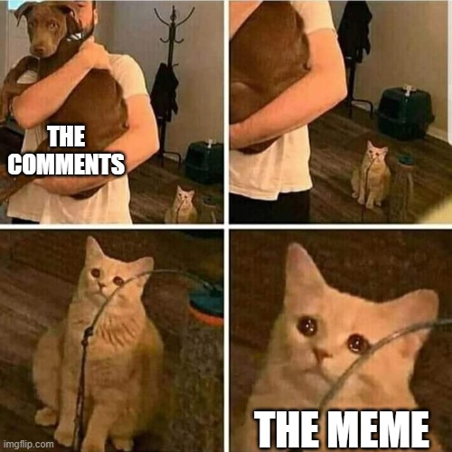 Why must you hurt me in this way? | THE COMMENTS; THE MEME | image tagged in sad cat holding dog | made w/ Imgflip meme maker