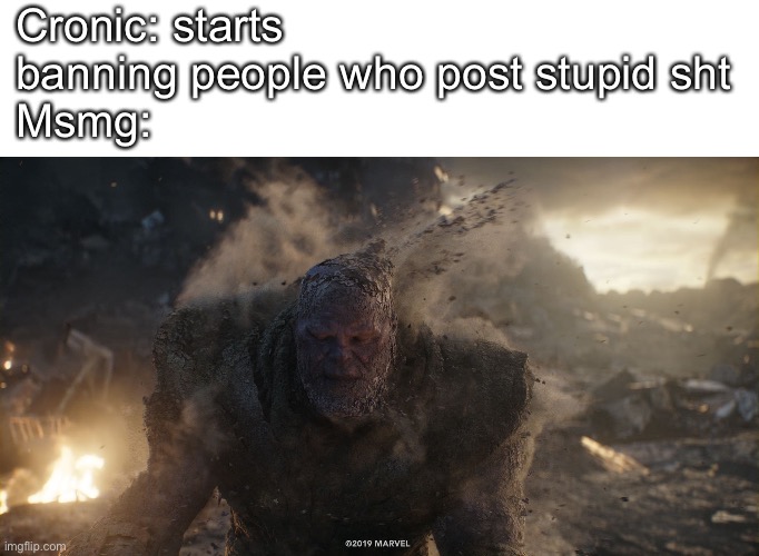 I’ll get the link hold on | Cronic: starts banning people who post stupid sht
Msmg: | image tagged in blank white template,thanos turns to dust | made w/ Imgflip meme maker