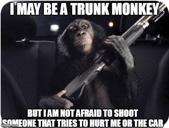 I may be a trunk monkey but, | I MAY BE A TRUNK MONKEY; BUT I AM NOT AFRAID TO SHOOT SOMEONE THAT TRIES TO HURT ME OR THE CAR | made w/ Imgflip meme maker