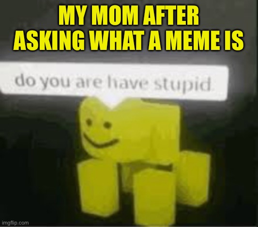 This has to be someone story | MY MOM AFTER ASKING WHAT A MEME IS | image tagged in do you are have stupid | made w/ Imgflip meme maker