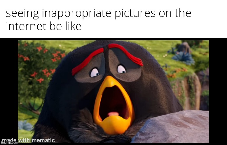 Don't look at inappropriate images on the internet!!!!! | image tagged in angry birds,internet | made w/ Imgflip meme maker