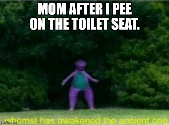 Whomst has awakened the ancient one | MOM AFTER I PEE ON THE TOILET SEAT. | image tagged in whomst has awakened the ancient one | made w/ Imgflip meme maker