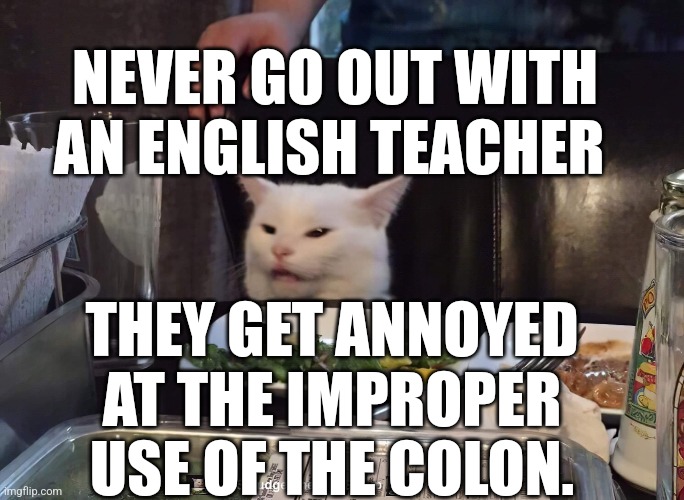 NEVER GO OUT WITH AN ENGLISH TEACHER; THEY GET ANNOYED AT THE IMPROPER USE OF THE COLON. | image tagged in smudge the cat | made w/ Imgflip meme maker