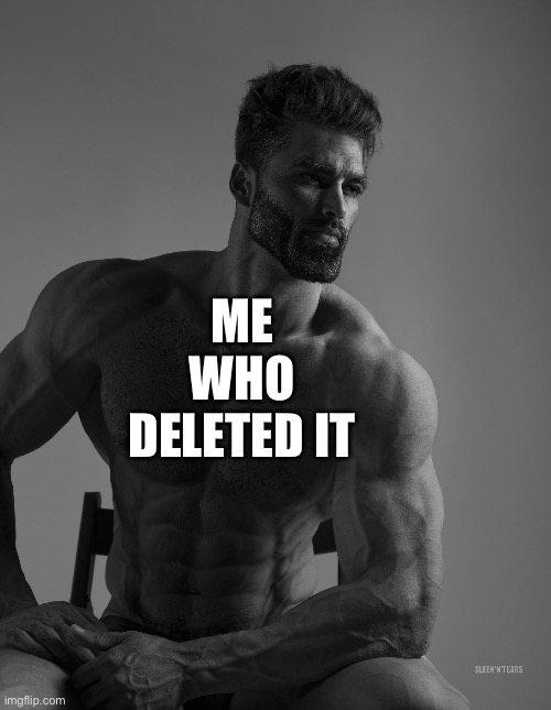 Giga Chad | ME WHO DELETED IT | image tagged in giga chad | made w/ Imgflip meme maker