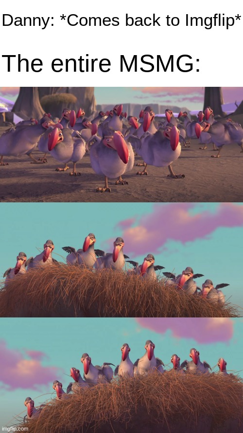 Angry Dodos | Danny: *Comes back to Imgflip*; The entire MSMG: | image tagged in angry dodos | made w/ Imgflip meme maker