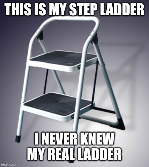 Step ladder | THIS IS MY STEP LADDER; I NEVER KNEW MY REAL LADDER | image tagged in step ladder | made w/ Imgflip meme maker