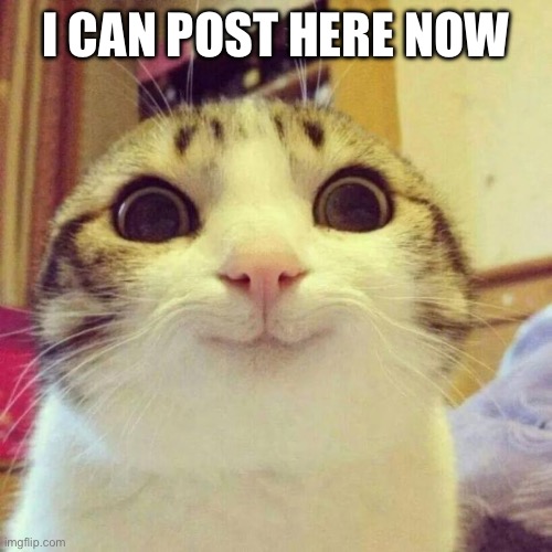 (yay) | I CAN POST HERE NOW | image tagged in memes,smiling cat | made w/ Imgflip meme maker