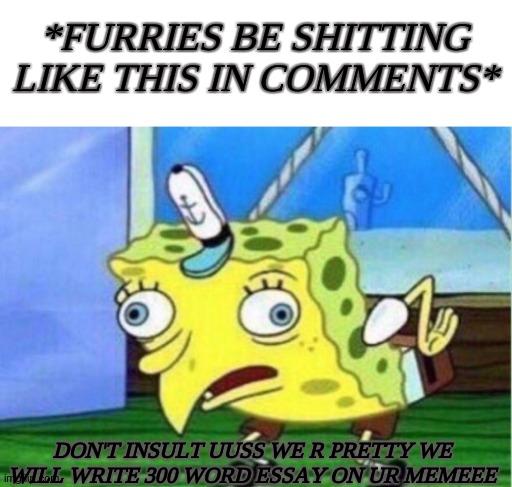 Furr shits. | *FURRIES BE SHITTING LIKE THIS IN COMMENTS*; DON'T INSULT UUSS WE R PRETTY WE WILL WRITE 300 WORD ESSAY ON UR MEMEEE | image tagged in memes,mocking spongebob | made w/ Imgflip meme maker