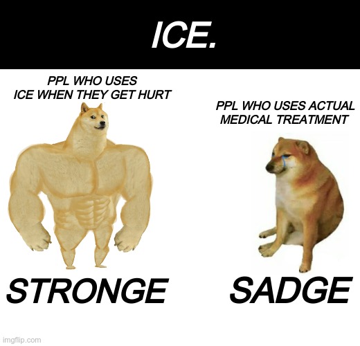 Ice | ICE. PPL WHO USES ICE WHEN THEY GET HURT; PPL WHO USES ACTUAL MEDICAL TREATMENT; SADGE; STRONGE | image tagged in memes,buff doge vs cheems | made w/ Imgflip meme maker