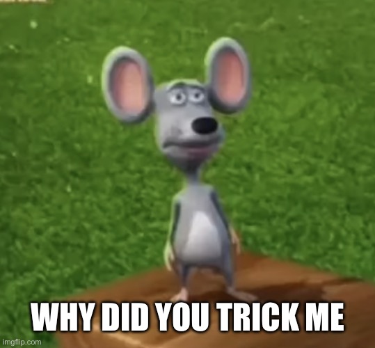 Wtf did I just here right now | WHY DID YOU TRICK ME | image tagged in wtf did i just here right now | made w/ Imgflip meme maker