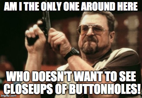 Am I The Only One Around Here Meme | AM I THE ONLY ONE AROUND HERE WHO DOESN'T WANT TO SEE CLOSEUPS OF BUTTONHOLES! | image tagged in memes,am i the only one around here,AdviceAnimals | made w/ Imgflip meme maker