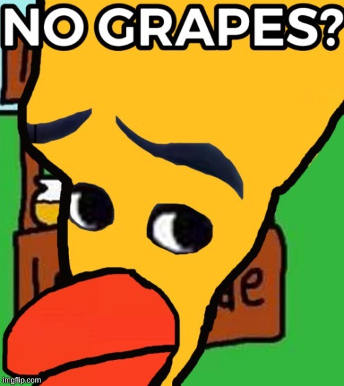 NO GRAPES? | image tagged in no grapes | made w/ Imgflip meme maker