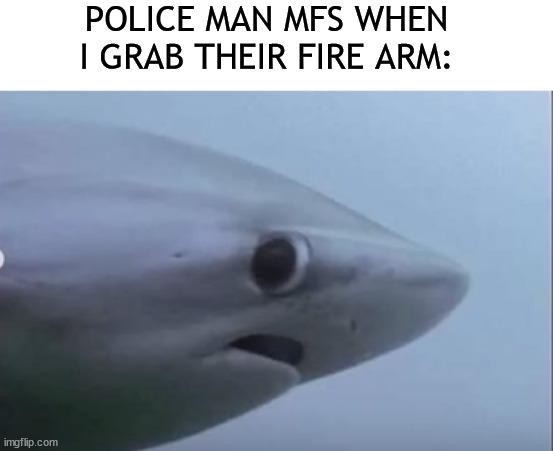 goofy ahh shark | POLICE MAN MFS WHEN I GRAB THEIR FIRE ARM: | image tagged in funny meme | made w/ Imgflip meme maker