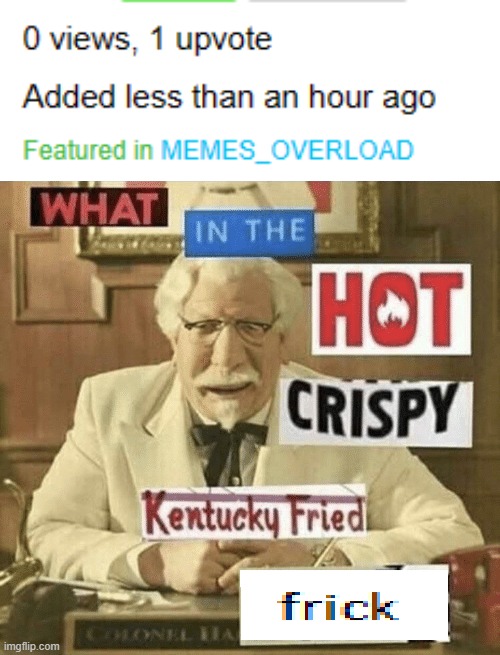 Ok no but actually what the hecc | image tagged in what in the hot crispy kentucky fried frick | made w/ Imgflip meme maker