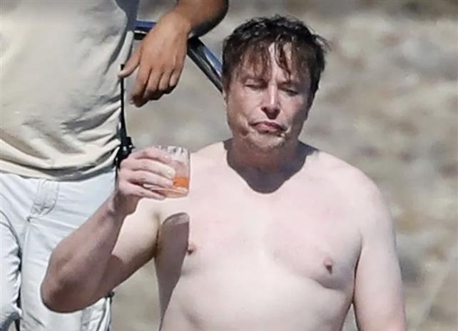 Elon Musk Shirtless Blank Meme Template