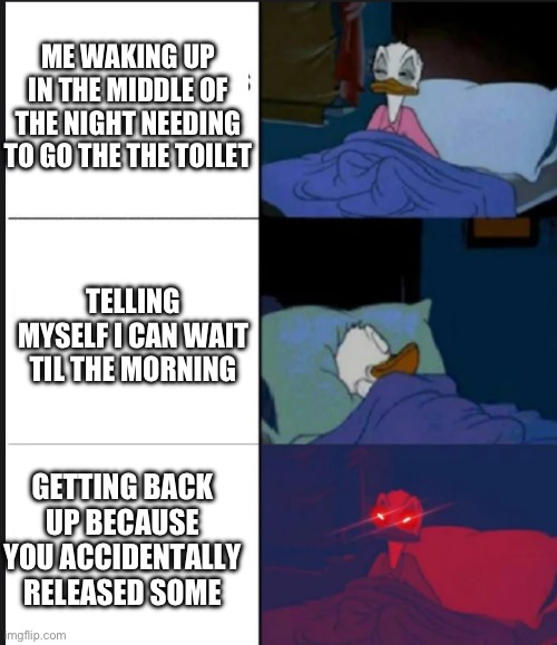 Donald Duck awake | ME WAKING UP IN THE MIDDLE OF THE NIGHT NEEDING TO GO THE THE TOILET; TELLING MYSELF I CAN WAIT TIL THE MORNING; GETTING BACK UP BECAUSE YOU ACCIDENTALLY RELEASED SOME | image tagged in donald duck awake | made w/ Imgflip meme maker