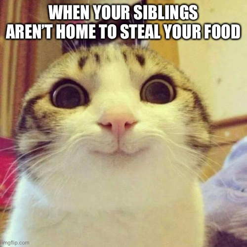 Smiling Cat Meme | WHEN YOUR SIBLINGS AREN’T HOME TO STEAL YOUR FOOD | image tagged in memes,smiling cat | made w/ Imgflip meme maker
