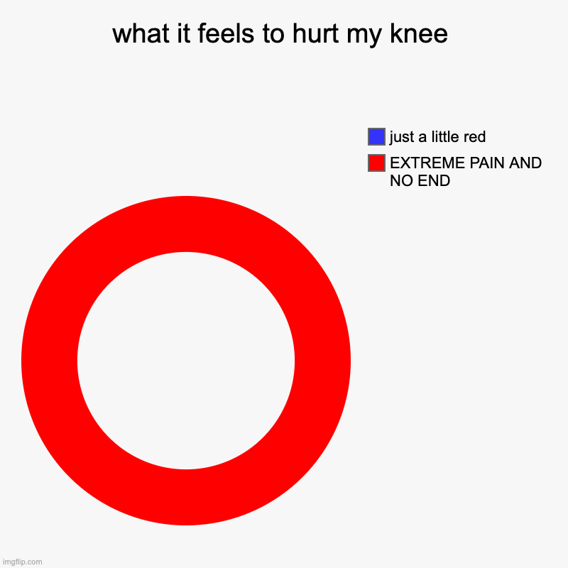 yes | what it feels to hurt my knee | EXTREME PAIN AND NO END, just a little red | image tagged in charts,donut charts,relatable,knee,hurt | made w/ Imgflip chart maker
