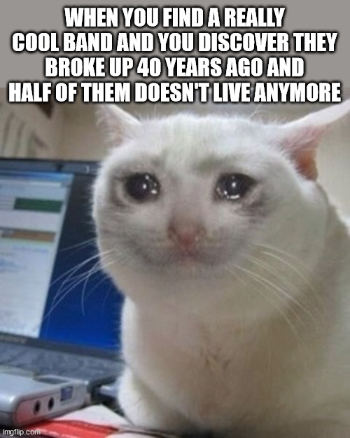 This happens to me all the time. | WHEN YOU FIND A REALLY COOL BAND AND YOU DISCOVER THEY BROKE UP 40 YEARS AGO AND HALF OF THEM DOESN'T LIVE ANYMORE | image tagged in crying cat | made w/ Imgflip meme maker