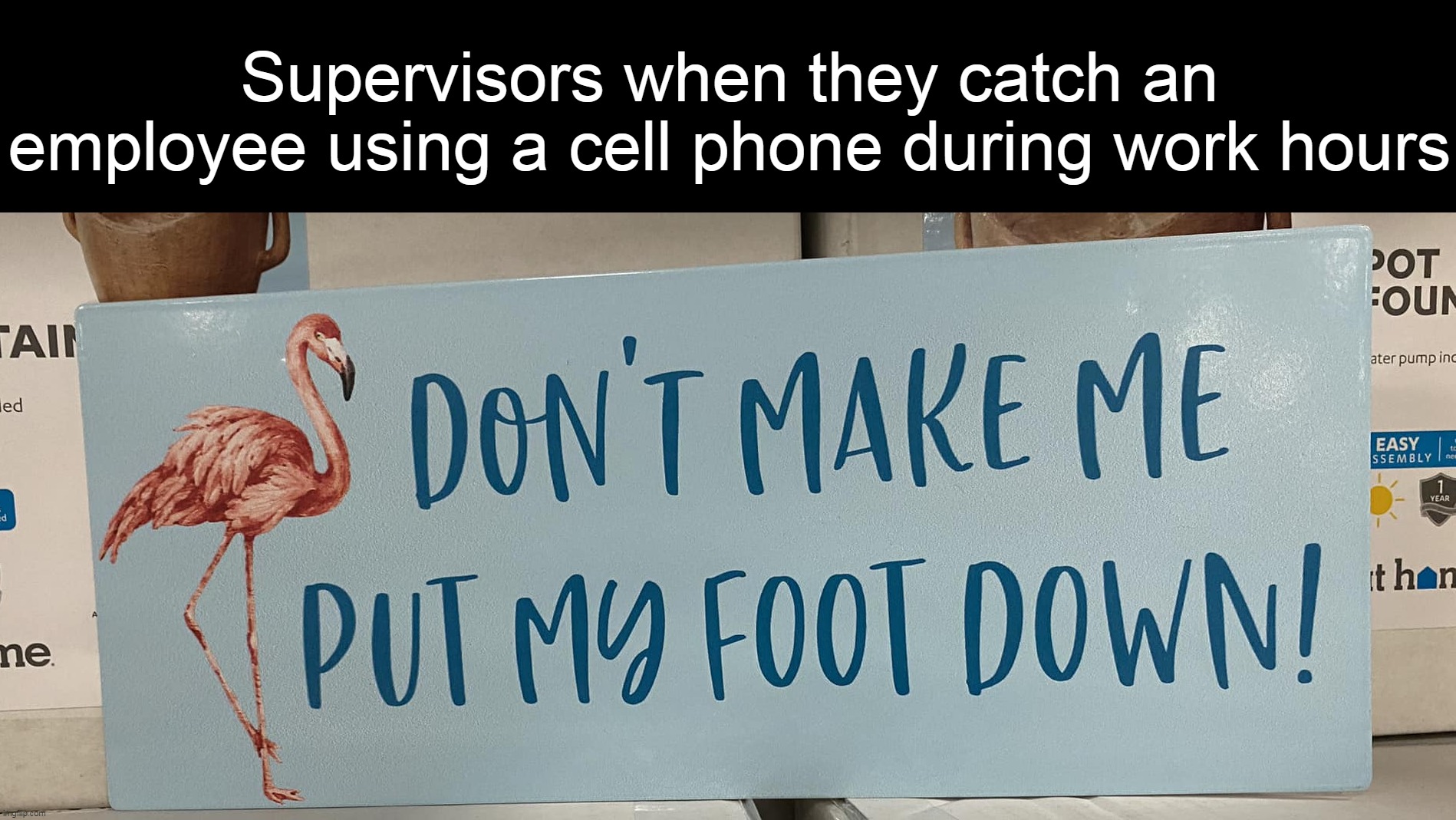 Supervisors when they catch an employee using a cell phone during work hours | image tagged in meme,memes,funny,signs,work | made w/ Imgflip meme maker