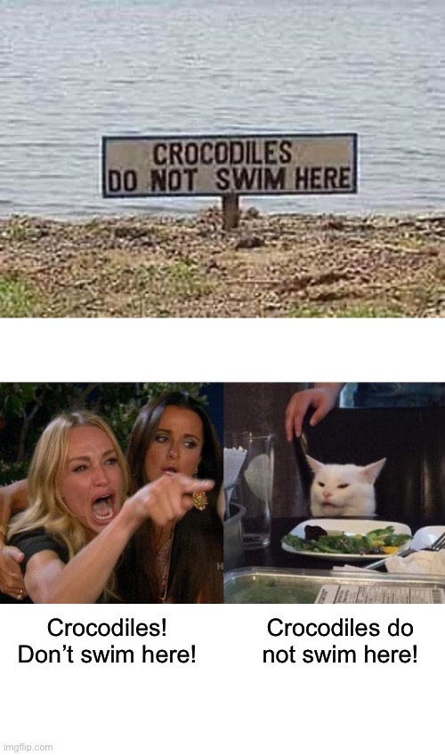 Safe/unsafe | Crocodiles! Don’t swim here! Crocodiles do not swim here! | image tagged in memes,woman yelling at cat | made w/ Imgflip meme maker