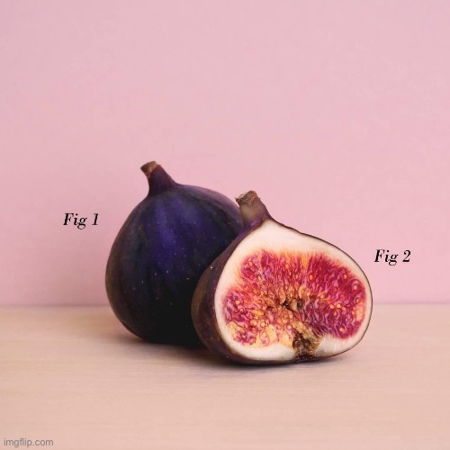 Fig | image tagged in bad pun | made w/ Imgflip meme maker