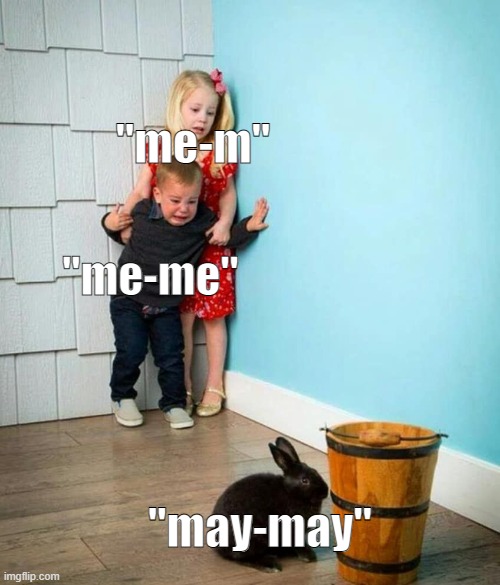 WOOOT DAAA HAAAAYUYUL | "me-m"; "me-me"; "may-may" | image tagged in children scared of rabbit | made w/ Imgflip meme maker