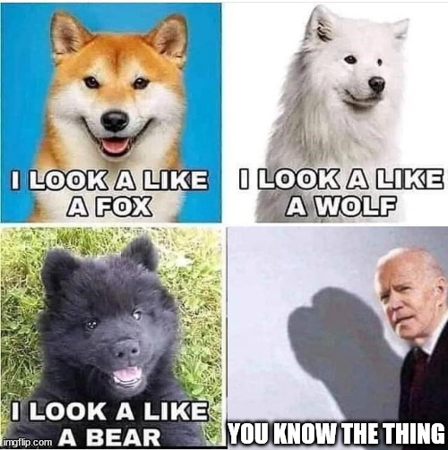 Yup... you know the thing... | YOU KNOW THE THING | image tagged in dickhead,joe biden | made w/ Imgflip meme maker