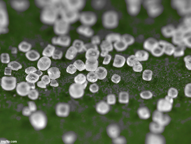 Sodium | image tagged in sodium | made w/ Imgflip meme maker