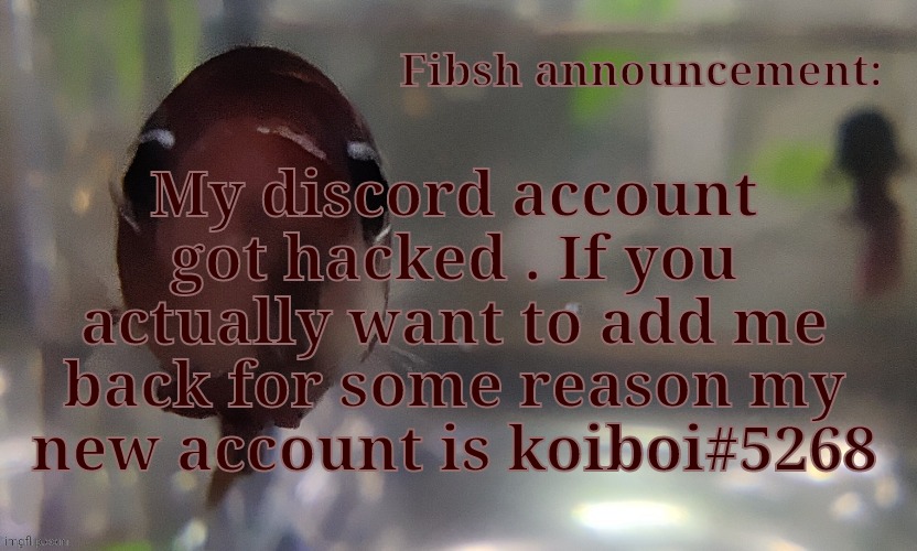 Fibsh | My discord account got hacked . If you actually want to add me back for some reason my new account is koiboi#5268 | image tagged in fibsh | made w/ Imgflip meme maker