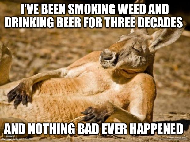 Chillin Kangaroo | I’VE BEEN SMOKING WEED AND DRINKING BEER FOR THREE DECADES; AND NOTHING BAD EVER HAPPENED | image tagged in chillin kangaroo | made w/ Imgflip meme maker