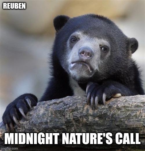 Confession Bear Meme | REUBEN; MIDNIGHT NATURE'S CALL | image tagged in memes,confession bear | made w/ Imgflip meme maker