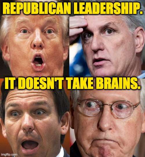 Dishonesty and divisiveness. | REPUBLICAN LEADERSHIP. IT DOESN'T TAKE BRAINS. | image tagged in memes,republicans,brain trust no | made w/ Imgflip meme maker